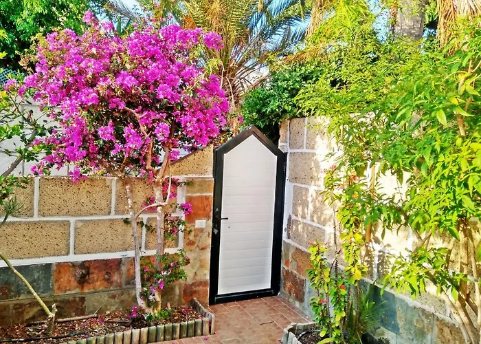 Tropical Bliss Retreat In * Chayofa