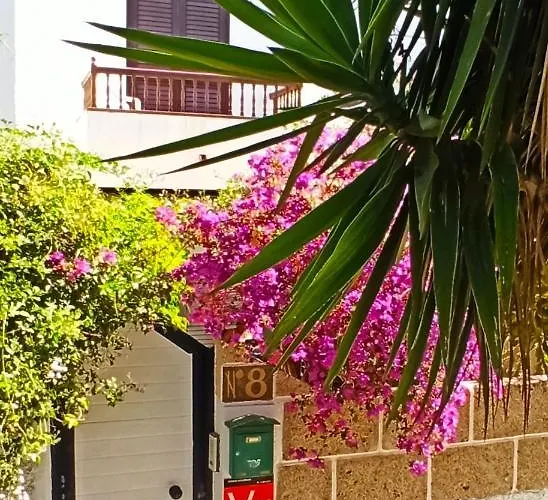 Semesterbostad Tropical Bliss Retreat In Chayofa